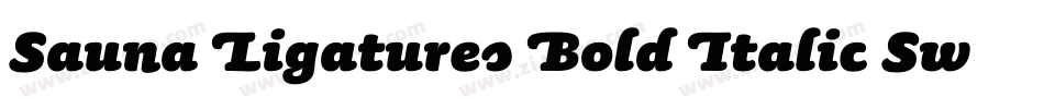 Sauna Ligatures Bold Italic Swash字体转换